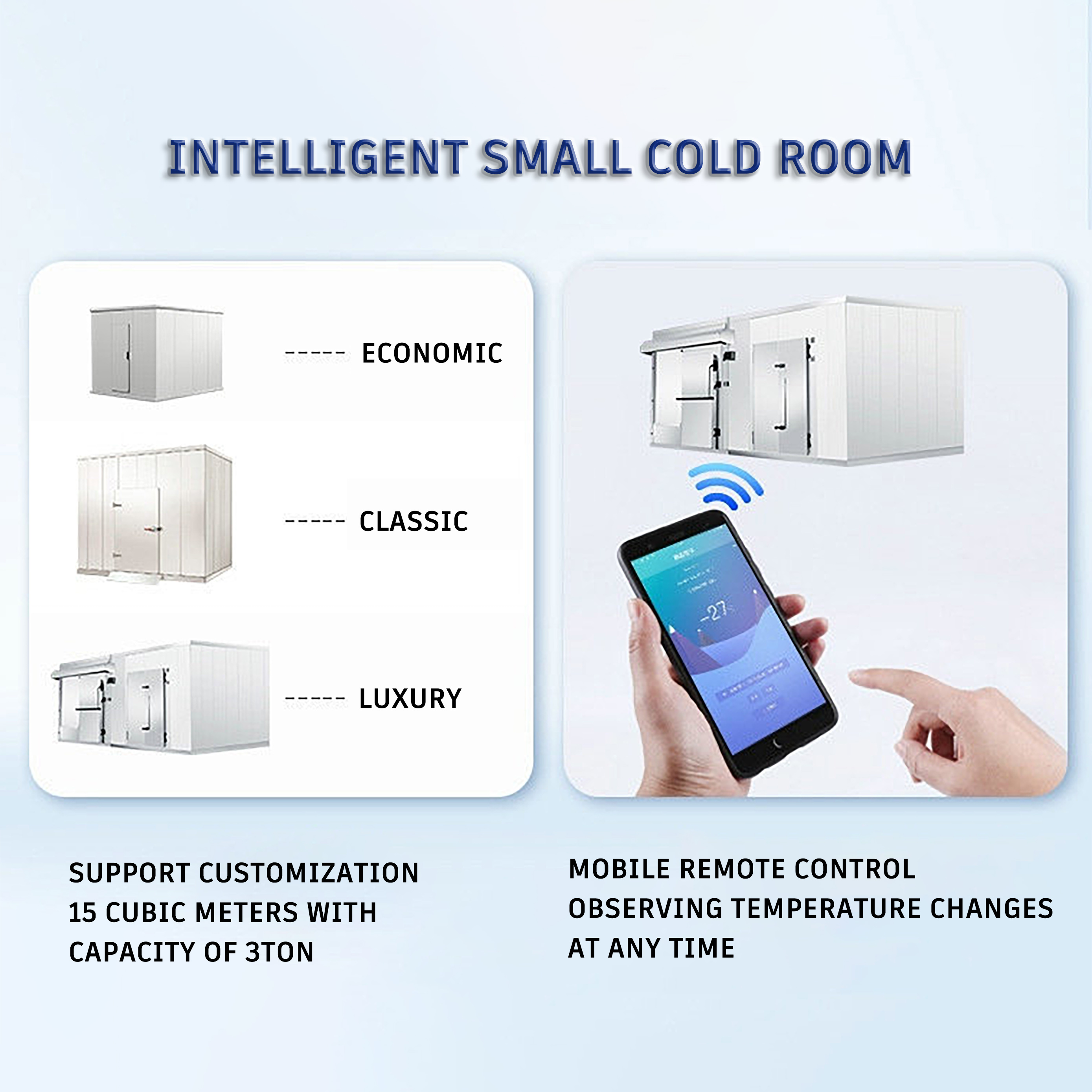 Supermarket Mobile Intelligent Remote Control Walkin Cooler Freezer Storage Cold Room